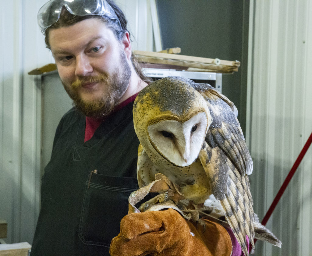 Injured_bird Iowa City Bird Club