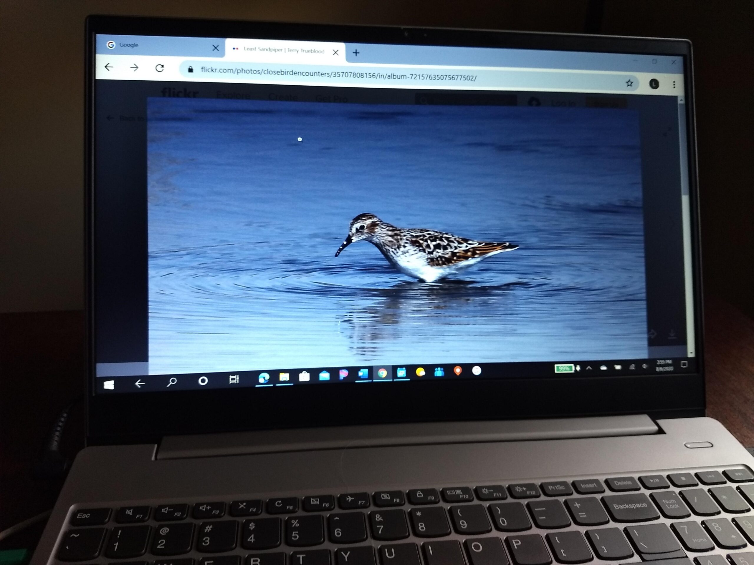 Computer Bird Pointer A Collection of Online Resources for Birders
